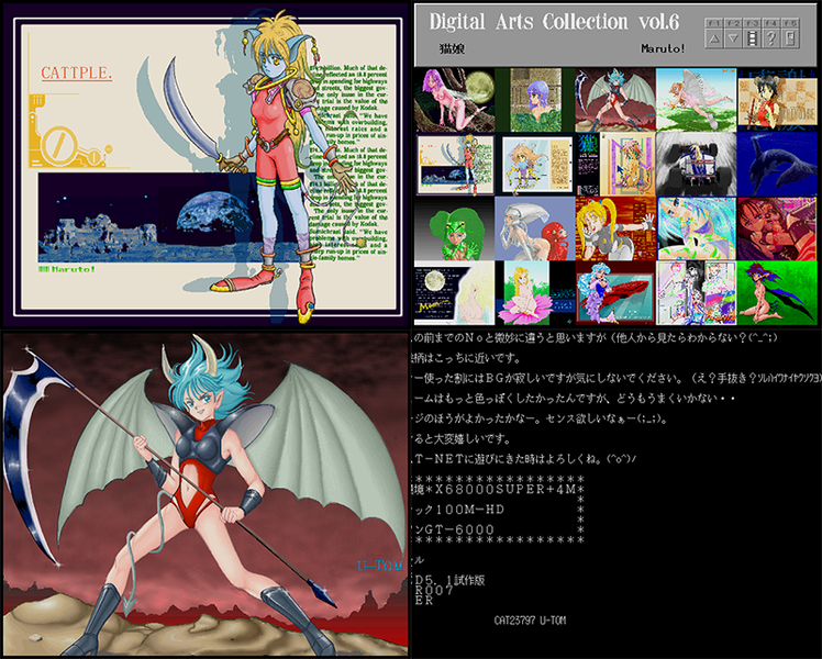 Digital Arts Collection Vol. 06 preview.png