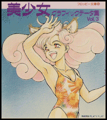 Floppy Bunko 06 - Bishoujo Graphic Data Shuu Vol. 3 preview.png