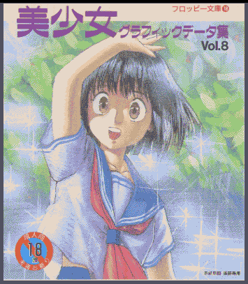 Floppy Bunko 18 - Bishoujo Graphic Data Shuu Vol. 8 preview.png